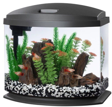 Aqueon LED MiniBow 5 SmartClean Aquarium Kit Gray