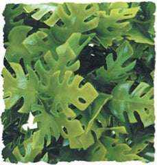 Zoo Med Natural Bush Amazonian Phyllo Plant Large