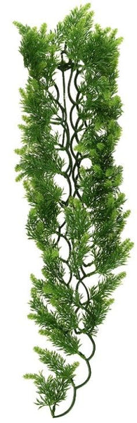 Zoo Med Natural Bush Malaysian Fern Plant Large