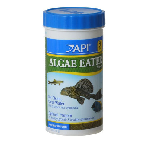 API Algae Eater Premium Algae Wafers