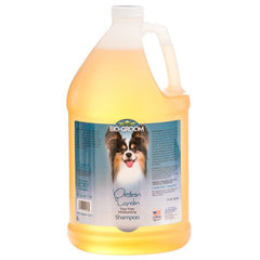 Bio Groom Protein Lanolin Shampoo