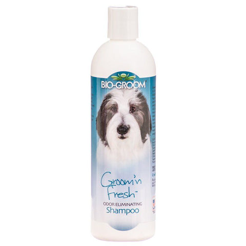 Bio Groom Groom N Fresh Shampoo