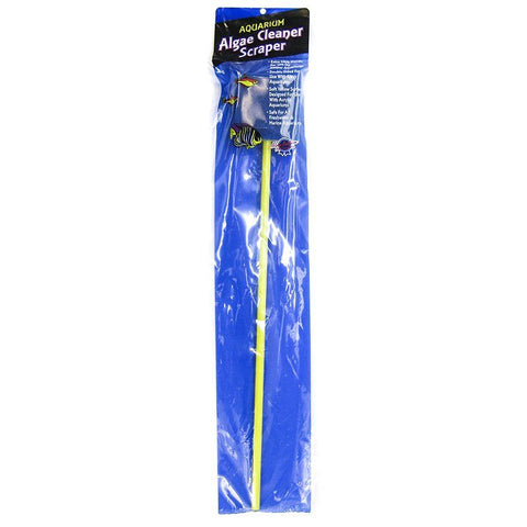 Blue Ribbon Double Sided Algae Pad On Stick