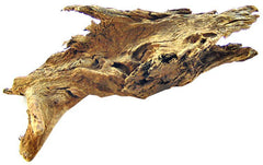 Blue Ribbon Natural Malaysian Driftwood