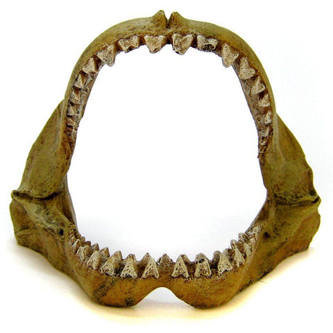 Blue Ribbon Great White Shark Jaws Ornament