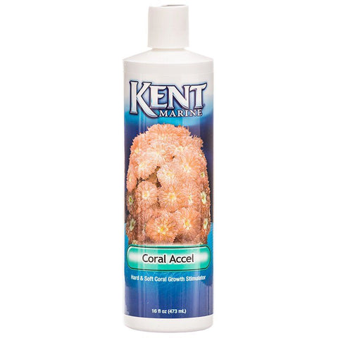 Kent Marine Coral Accel