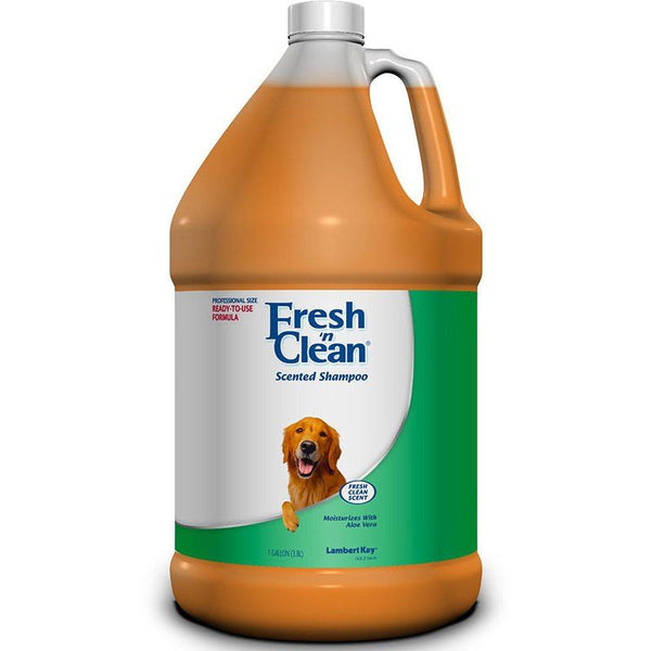 Fresh 'n Clean Scented Shampoo with Protein - Fresh Clean Scent