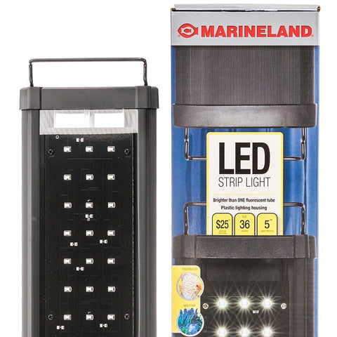 Marineland Adjustable Single Bright LED Lighting System