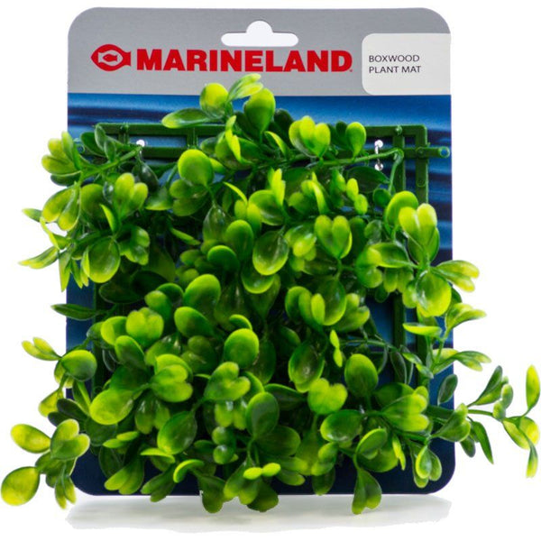 Marineland Boxwood Plant Mat