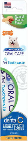 Nylabone Advanced Oral Care Natural Toothpaste - Peanut Flavor