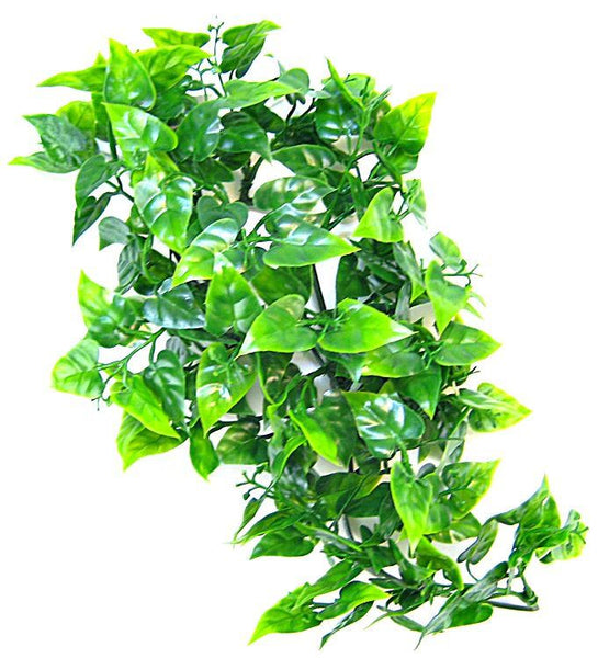 Zoo Med Natural Bush - Mexican Phyllo Aquarium Plant