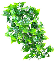 Zoo Med Natural Bush - Mexican Phyllo Aquarium Plant