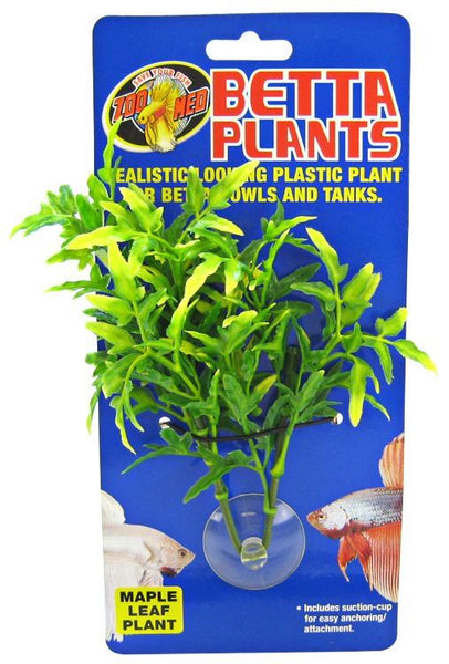 Zoo Med Aquatic Betta Plants - Maple Leaf Plant