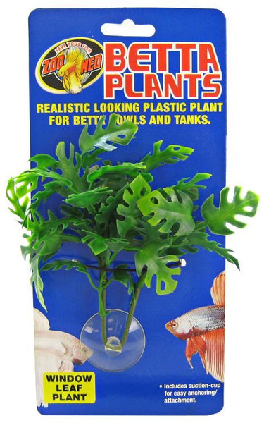 Zoo Med Aquatic Betta Plants - Window Leaf Plant