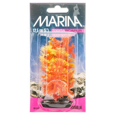 Marina Vibrascraper Ambulia Plant - Orange & Yellow