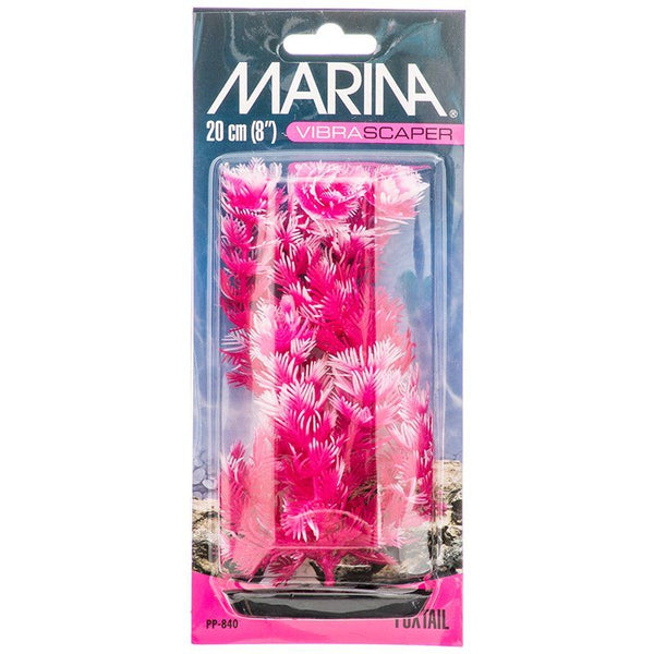 Marina Vibrascaper Foxtail Plant - Hot Pink & White