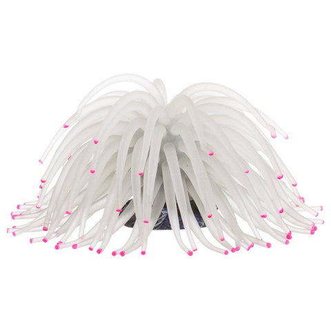 Tetra Blooming Collection Coordinated Decor Anemone