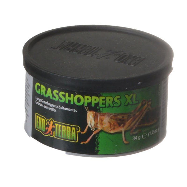 Exo-Terra Grasshoppers XL