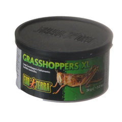 Exo-Terra Grasshoppers XL