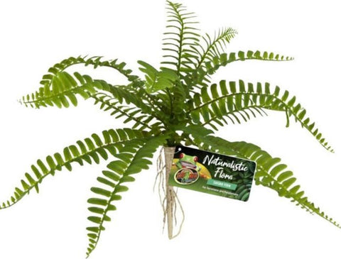 Zoo Med Naturalistic Flora Sword Fern