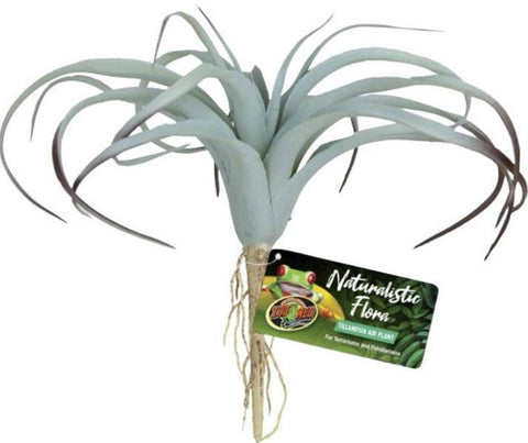 Zoo Med Naturalistic Flora Tillandsia Air Plant