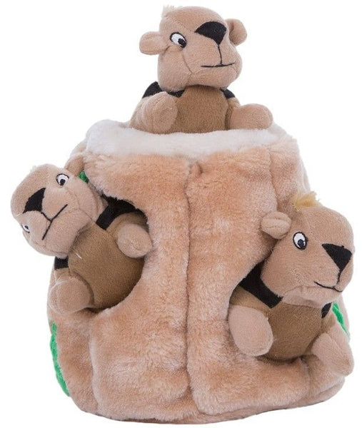 Outward Hound Plush Hide-A-Squirrel Puzzle Dog Toy