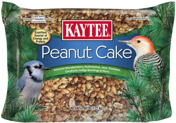 Kaytee Wild Bird Energy Cake With Peanut